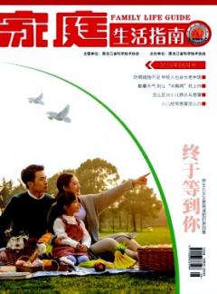 《家庭生活指南》