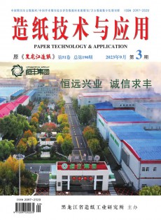 《造纸技术与应用》